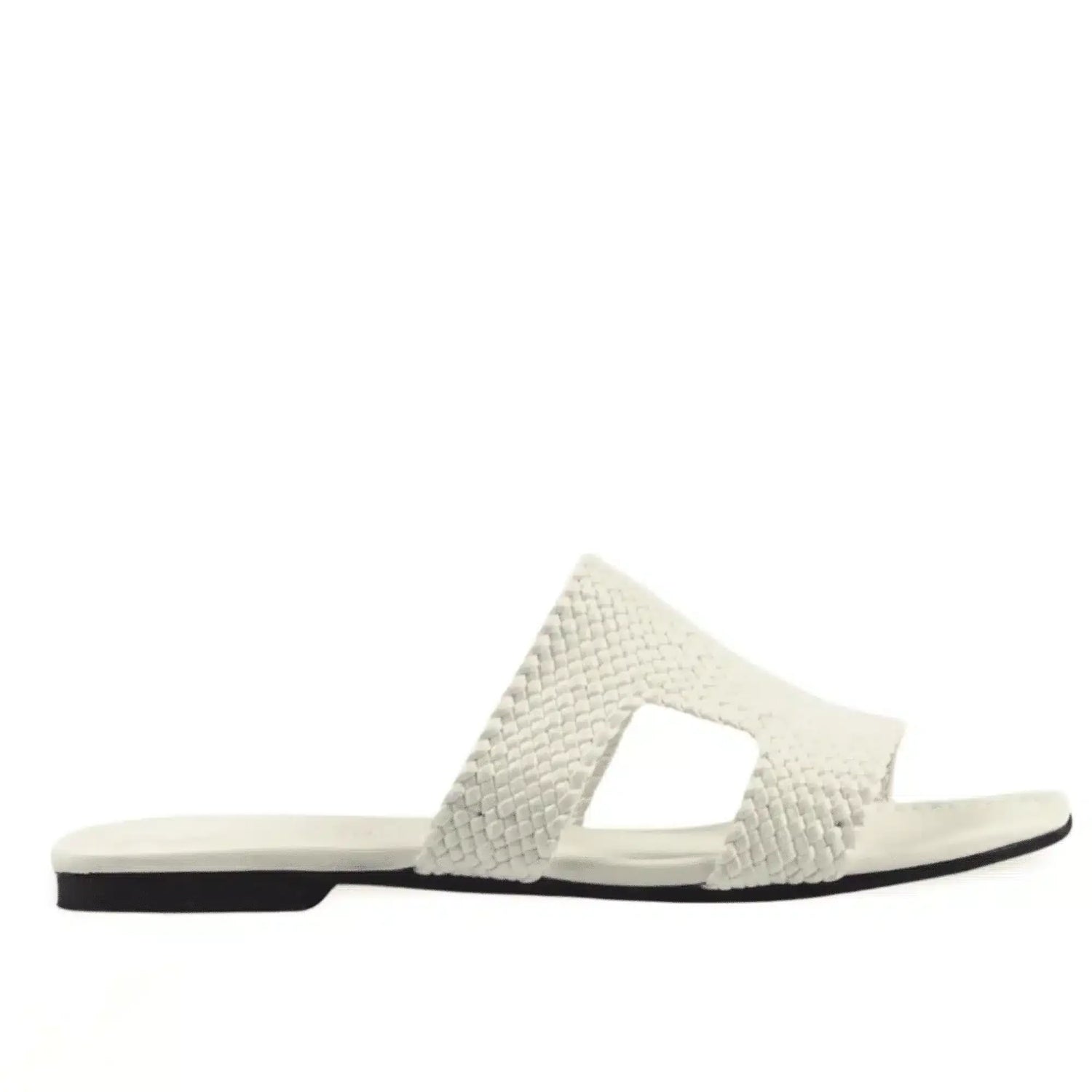 Slides
